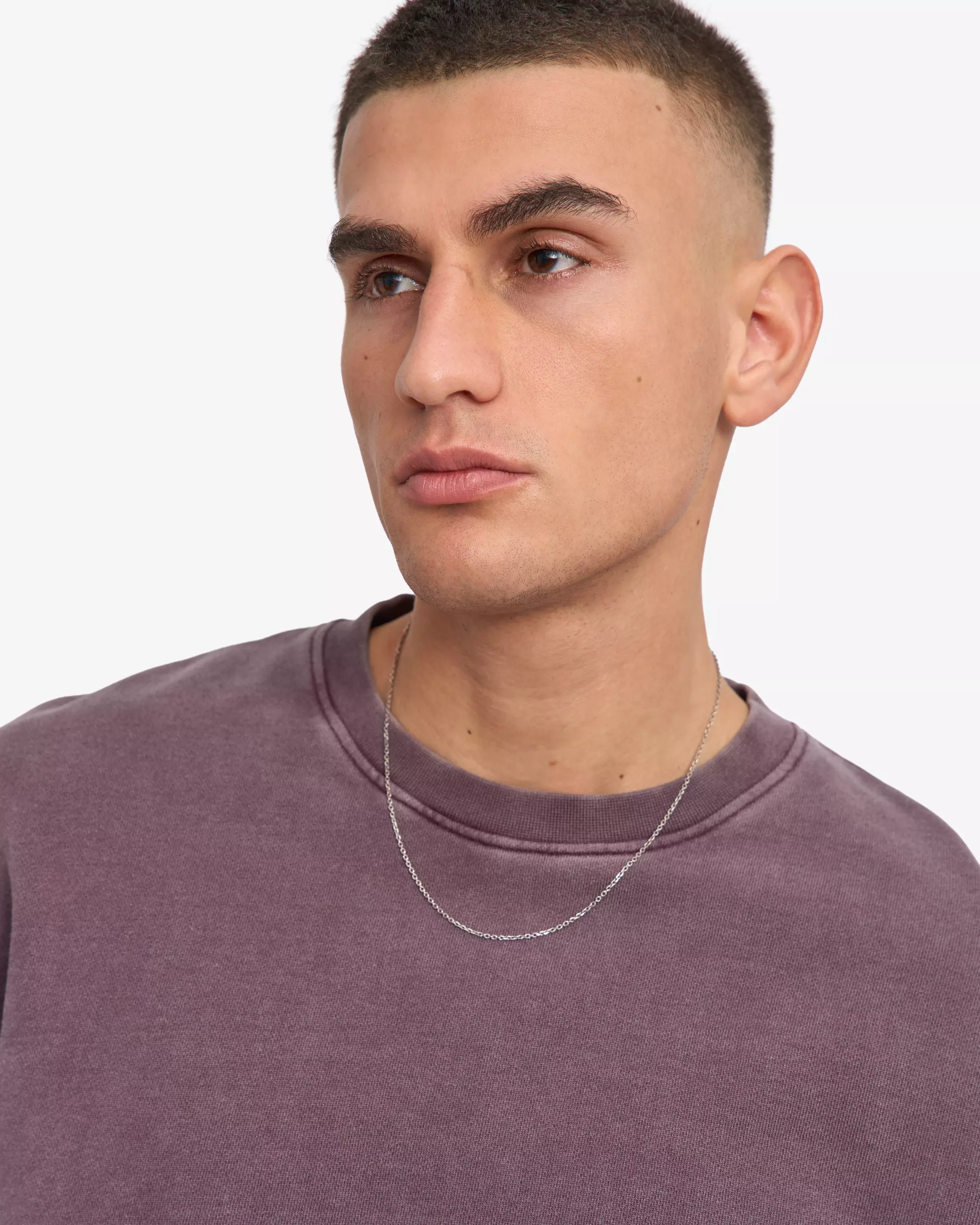 Colorful Standard Classic Organic Crew Sweatshirt Herren Faded Grape